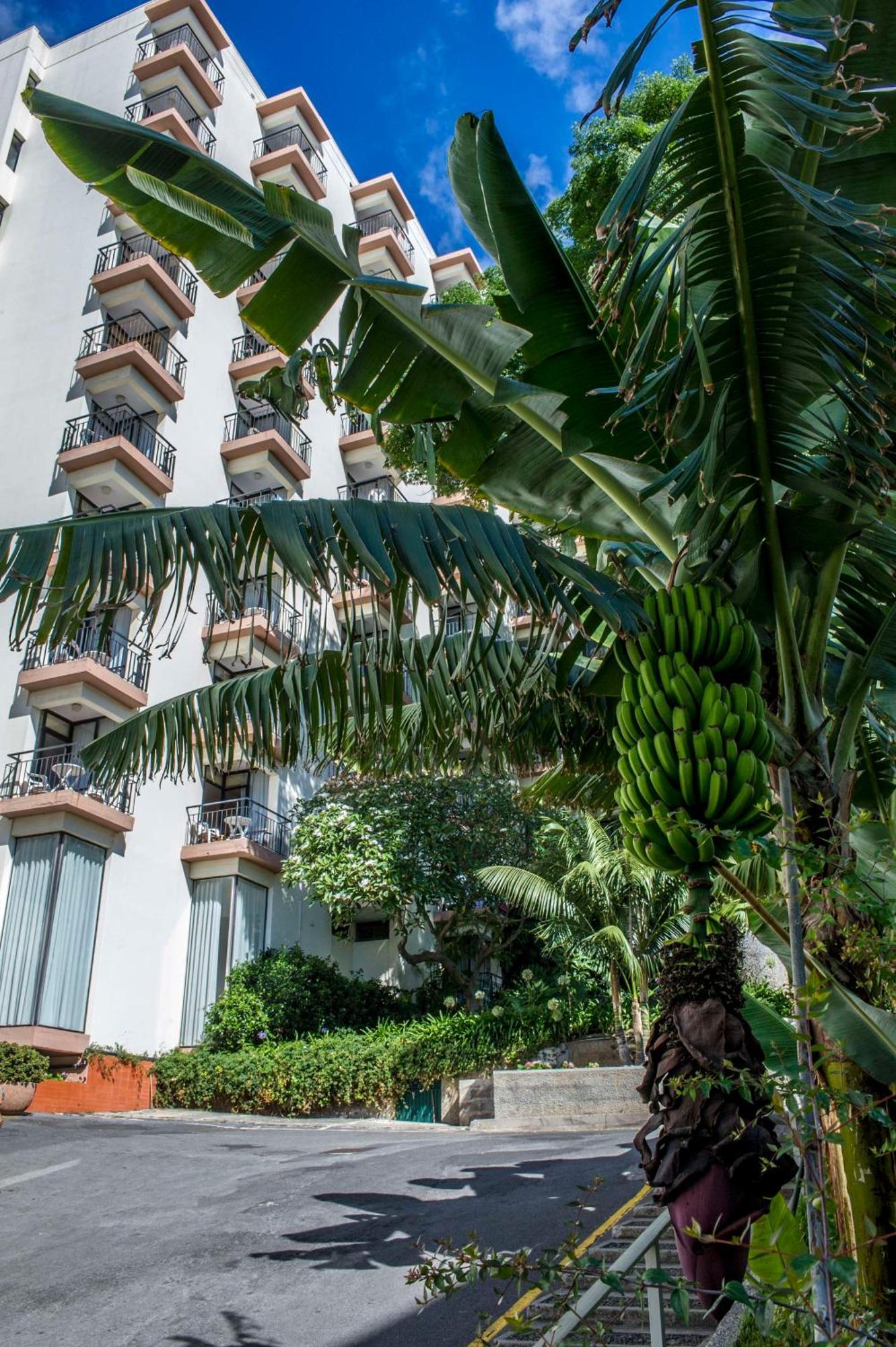 Dorisol Mimosa Studio Hotel فونشال المظهر الخارجي الصورة